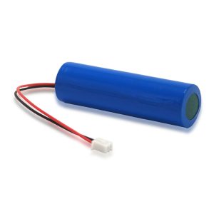 Compact & Lightweight Rechargeable Battery