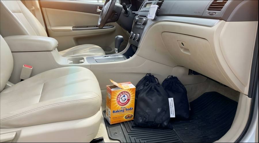 Odor Absorbers Car Interior